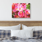 Orangish Pink Iris Canvas Afdruk (Insitu (Slaapkamer))