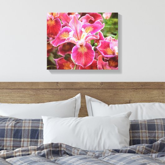 Orangish Pink Iris Canvas Afdruk (Insitu (Slaapkamer))