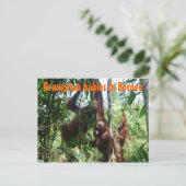 Orangutaanse baby's op Borneo Briefkaart (Staand voorkant)