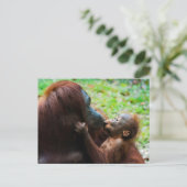 Orangutaanse moeder en baby briefkaart (Staand voorkant)