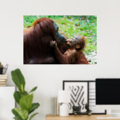 Orangutaanse moeder en baby poster (Thuiskantoor)