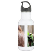 OrangUtan005 Waterfles (Achterkant)