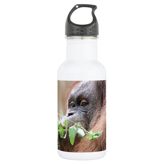OrangUtan005 Waterfles (Voorkant)