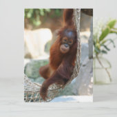 OrangUtan 001 Feestdagenkaart (Staand voorkant)