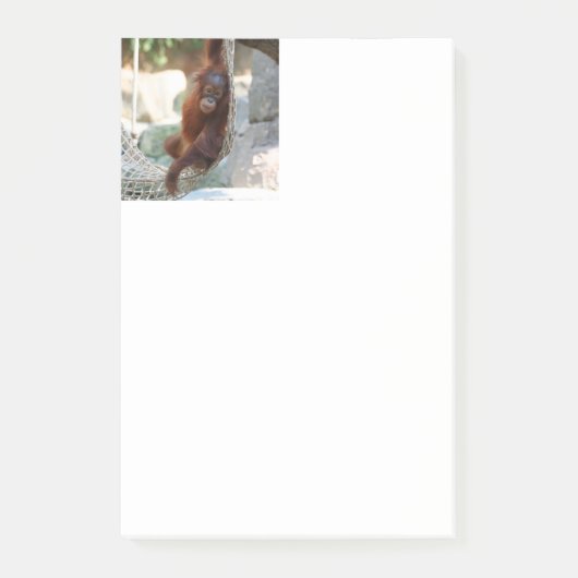 OrangUtan 001 Post-it® Notes (Voorkant)