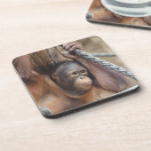 OrangUtan 002 Bier Onderzetter (Linkerzijde)