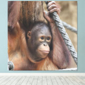 OrangUtan 002 Canvas Afdruk (Insitu (Houten vloer))