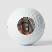 OrangUtan 002 Golfballen (Voorkant)