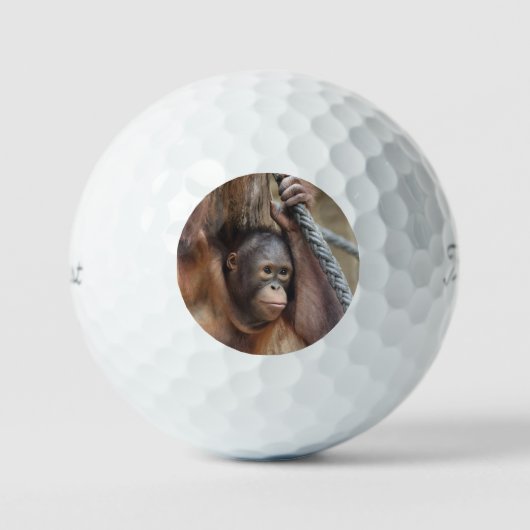 OrangUtan 002 Golfballen (Voorkant)