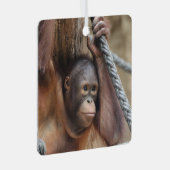 OrangUtan 002 Metalen Ornament (Voorkant Rechts)