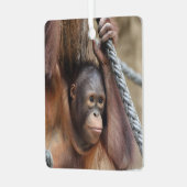 OrangUtan 002 Metalen Ornament (Voorkant links)