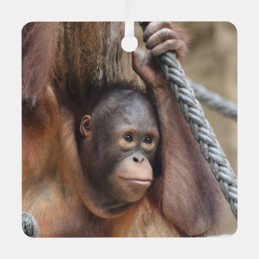 OrangUtan 002 Metalen Ornament (Voorkant)