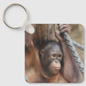 OrangUtan 002 Sleutelhanger (Voorkant)