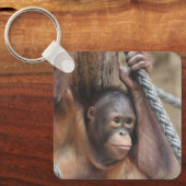 OrangUtan 002 Sleutelhanger (Voorkant)
