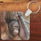 OrangUtan 002 Sleutelhanger (Achterkant)