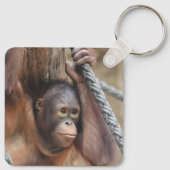 OrangUtan 002 Sleutelhanger (Achterkant)