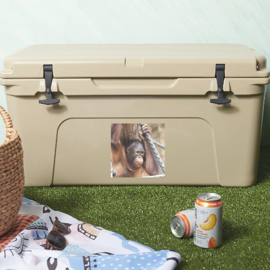 OrangUtan 002 Sticker (Koeler)