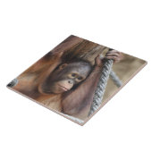 OrangUtan 002 Tegeltje (Zijkant)