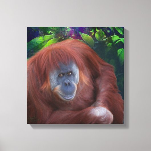 Orangutan 14x14 Stretched Canvas (Voorkant)