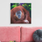 Orangutan 14x14 Stretched Canvas (Insitu (Woonkamer))