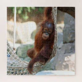OrangUtan 2020-03-01 Legpuzzel