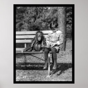 Orangutan and Boy in Park 1920 Poster