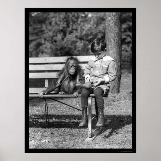Orangutan and Boy in Park 1920 Poster (Voorkant)