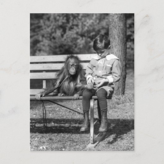 Orangutan and Boy - National Zoo Briefkaart (Voorkant)