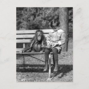 Orangutan and Boy - National Zoo Briefkaart