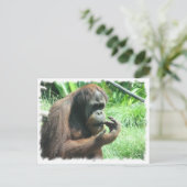 Orangutan Ape Briefkaart (Staand voorkant)