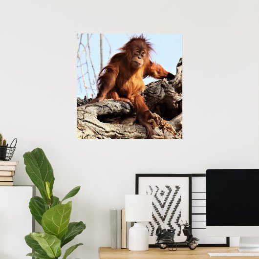 Orangutan Ape Monkey Artwork Foto Poster (Thuiskantoor)