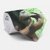 Orangutan Ape Stropdas (Opgerold)