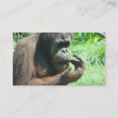 Orangutan Ape Visitekaartje (Achterkant)