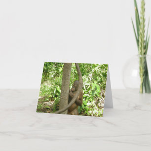 Orangutan Appreciation Day Tribute Kaart