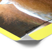 Orangutan Babies Lunch Poster (Hoek)