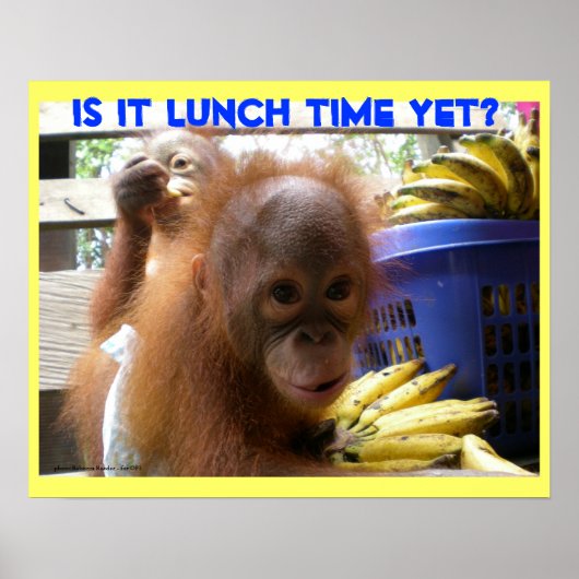 Orangutan Babies Lunch Poster (Voorkant)