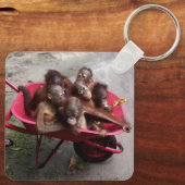 Orangutan Babies Sleutelhanger (Achterkant)