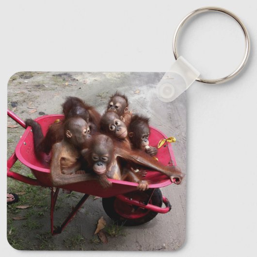 Orangutan Babies Sleutelhanger (Achterkant)