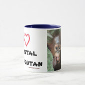 Orangutan Baby Crystal Mok (Midden)