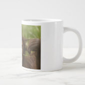 Orangutan Baby Grote Koffiekop (Rechts)
