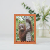 Orangutan Baby Hi uit Indonesië Briefkaart (Staand voorkant)