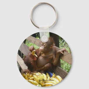 Orangutan Baby in BorneoButton Sleutelhanger