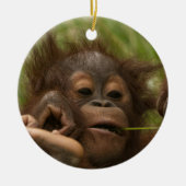 Orangutan Baby Keramisch Ornament (Voorkant)