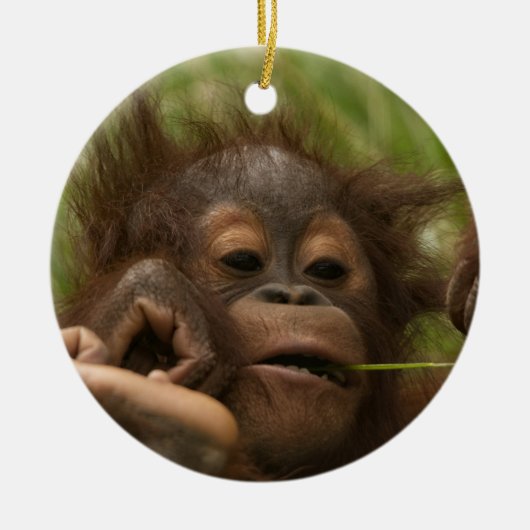 Orangutan Baby Keramisch Ornament (Voorkant)