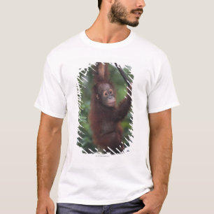 Orangutan Baby Klim Liana T-shirt