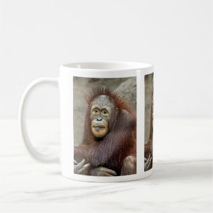 Orangutan Baby Koffiemok