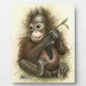 Orangutan Baby met bladeren Fotoplaat (Voorkant)