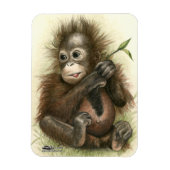 Orangutan Baby met bladeren Magneet (Verticaal)