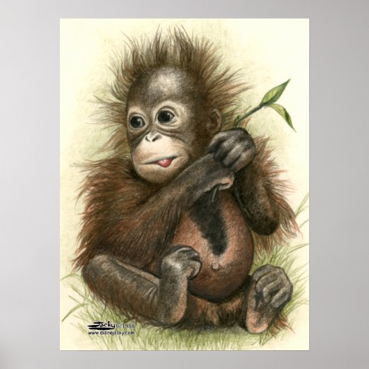 Orangutan Baby met bladeren Poster (Voorkant)
