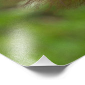 Orangutan Baby met een peek Foto Afdruk (Hoek)